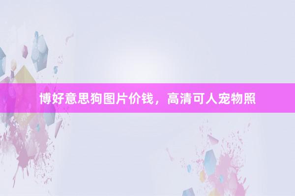 博好意思狗图片价钱,高清可人宠物照